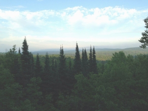 The Penokee Hills, where Gogebic Taconite (GTac) recently dropped plans for a proposed iron ore mine. Act 1, the contentious new mining law, was written by Gogebic Taconite (Gtac) and stripped away environmental protections of state resources. Citizens can attend their county's Conservation Congress and introduce a resolution to repeal Act 1. Photo: Lyn Tribble